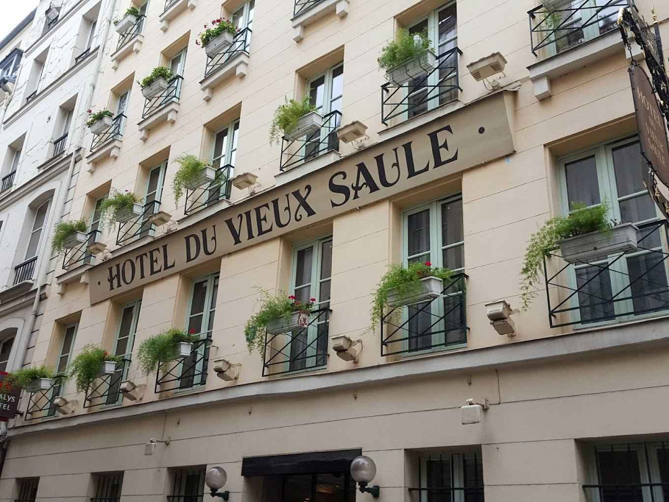 Hotel du Vieux Saule